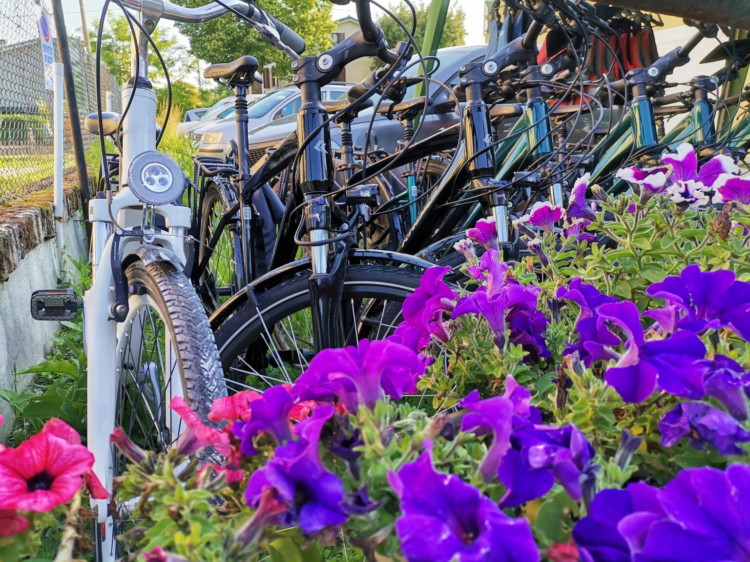 biciclette ponte nelle alpi viale cadore